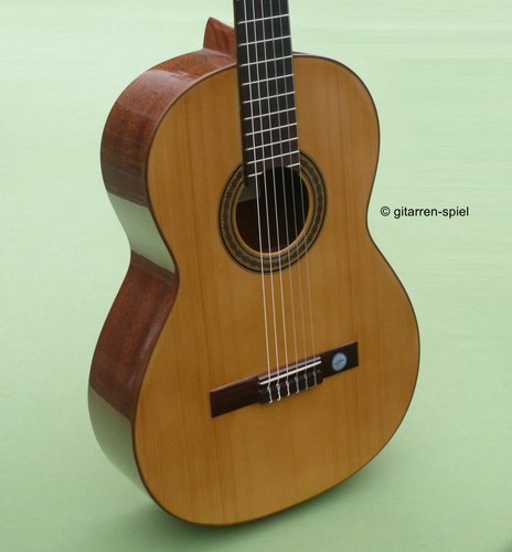 Spanische konzert gitarre - spanische, konzert-gitarre