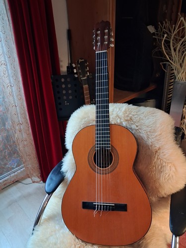 Konzert gitarre hohner - konzert-gitarre,