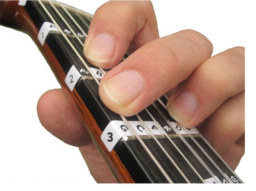 Fretnotes klassische gitarre - fretnotes,