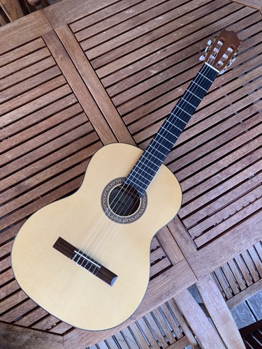 Gitarre ibanez salvador - ibanez,