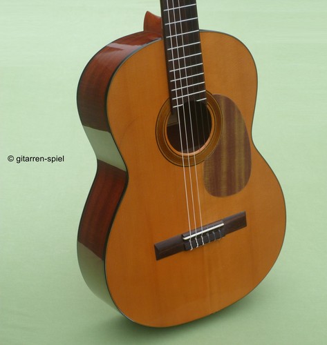 Edle konzert gitarre - edle, 4/4