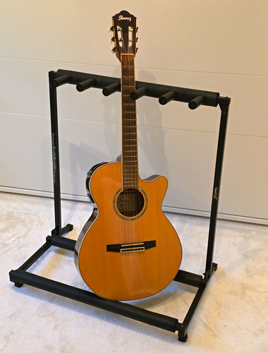Ibanez aeg10nnt 1202 - 1202, 4/4