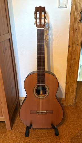 Guitarras rosner - guitarras,