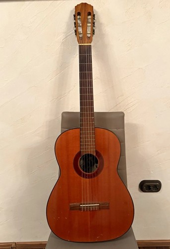 Höfner anno 1974 - höfner,