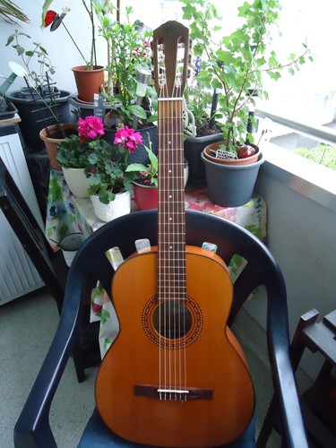 Konzertgitarre musima mit - musima,